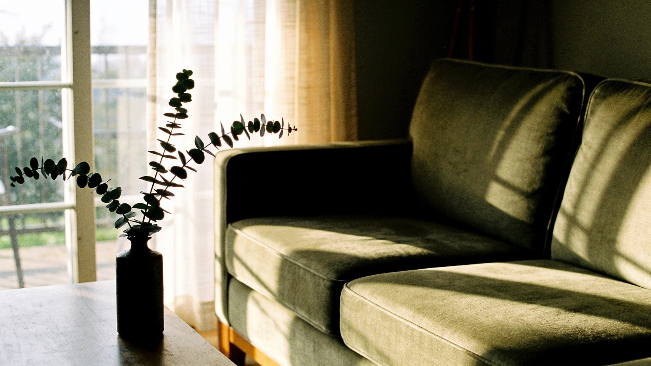 A quiet, sunlit living room with a comfortable sofa beside a window.